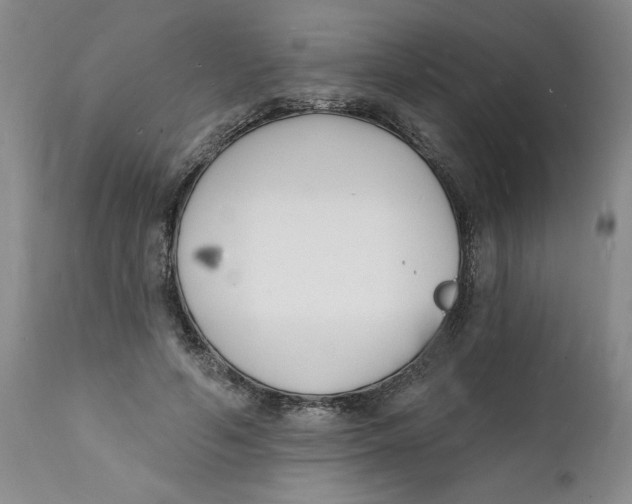 X0000112140594200908281319