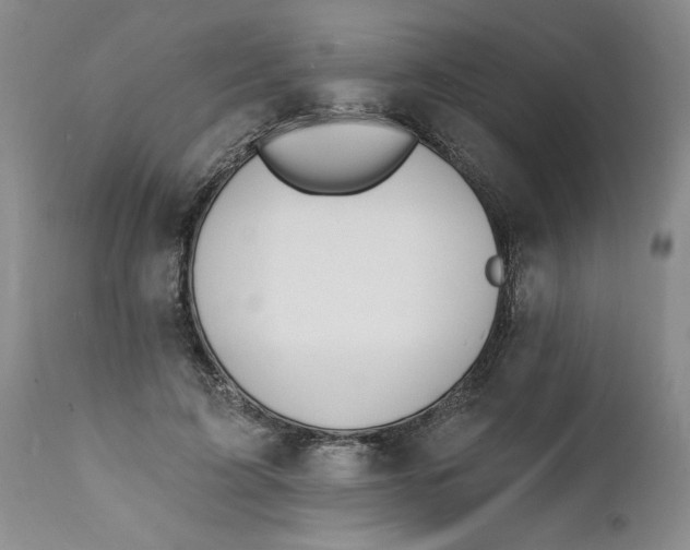 X0000112140595200908281319