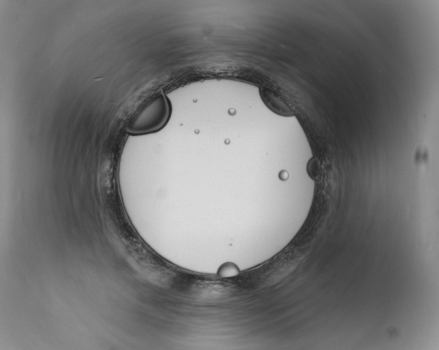 X0000112140597200908281319