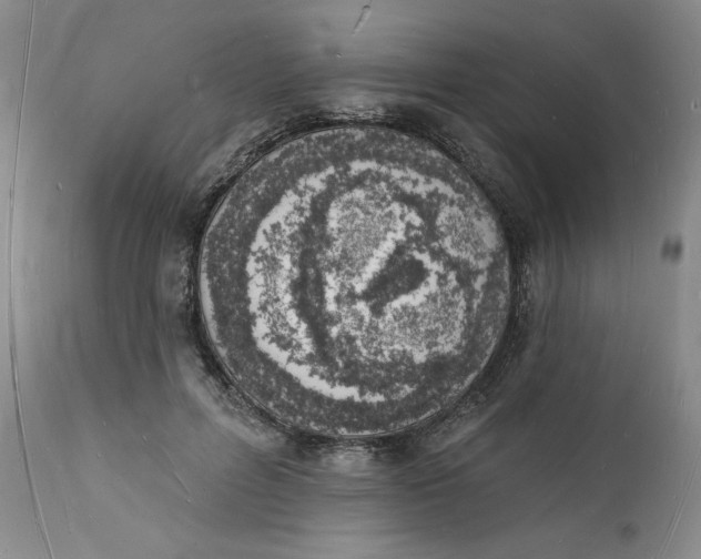 X0000112140600200908281319