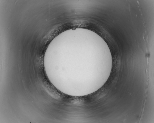 X0000112140601200908281319