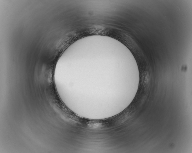 X0000112140602200908281319