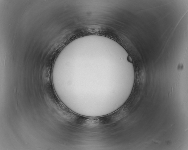 X0000112140606200908281318