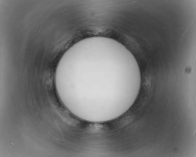 X0000112140607200908281318