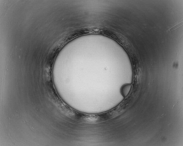 X0000112140610200908281318