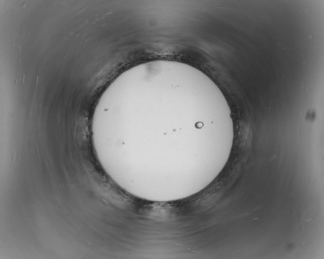 X0000112140612200908281318