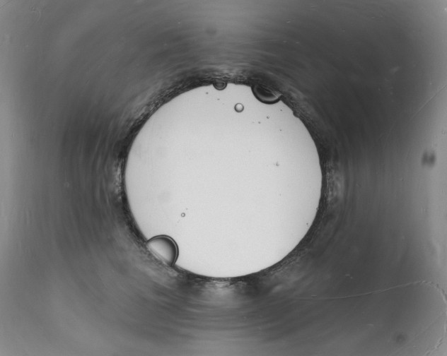 X0000112140613200908281318