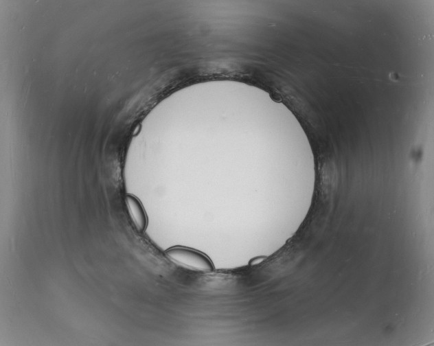 X0000112140617200908281318