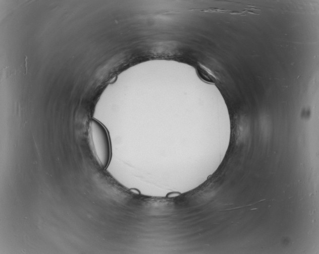 X0000112140619200908281318