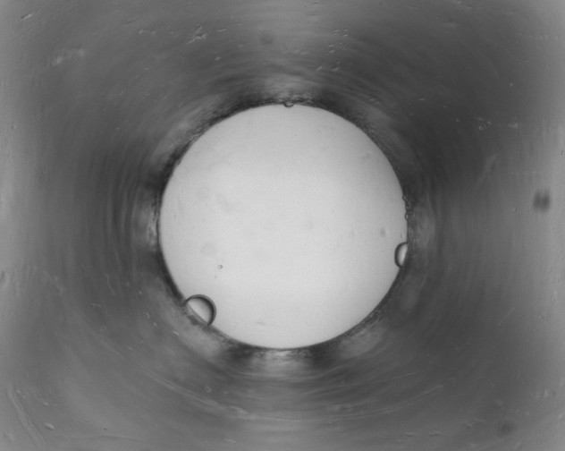 X0000112140622200908281318