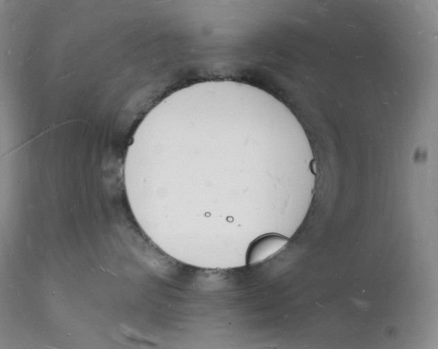 X0000112140624200908281318