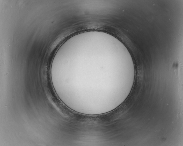 X0000112140626200908281317