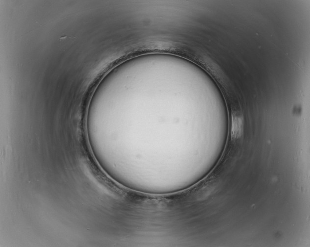 X0000112140627200908281317