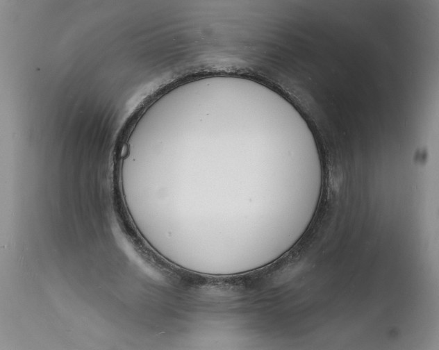 X0000112140630200908281317