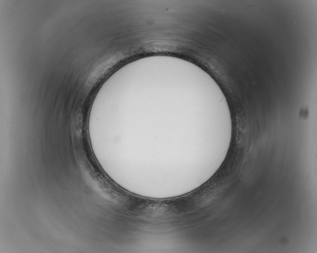 X0000112140631200908281317