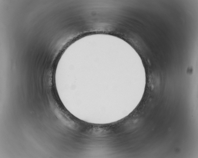 X0000112140632200908281317