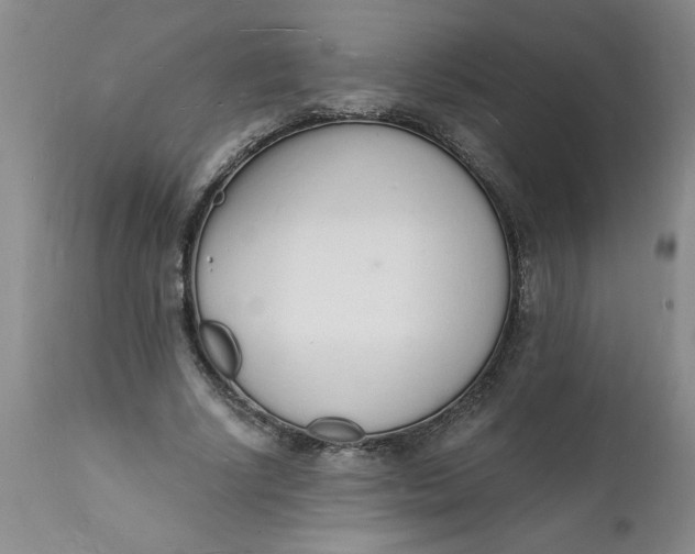 X0000112140634200908281318