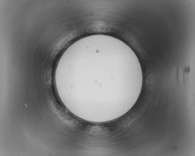 X0000112140635200908281318