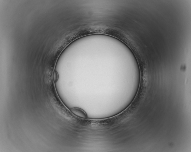 X0000112140641200908281318