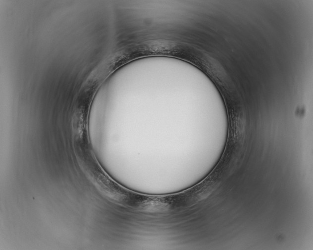 X0000112140644200908281318