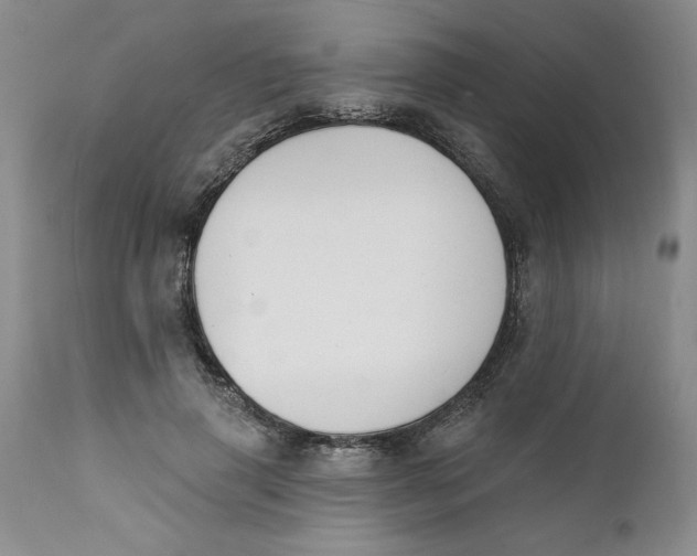 X0000112140645200908281318