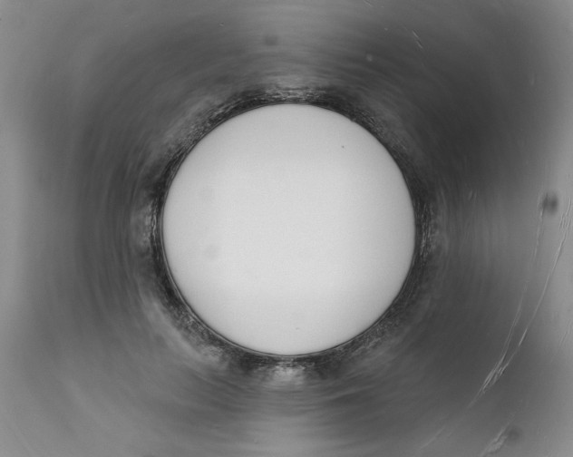 X0000112140647200908281318