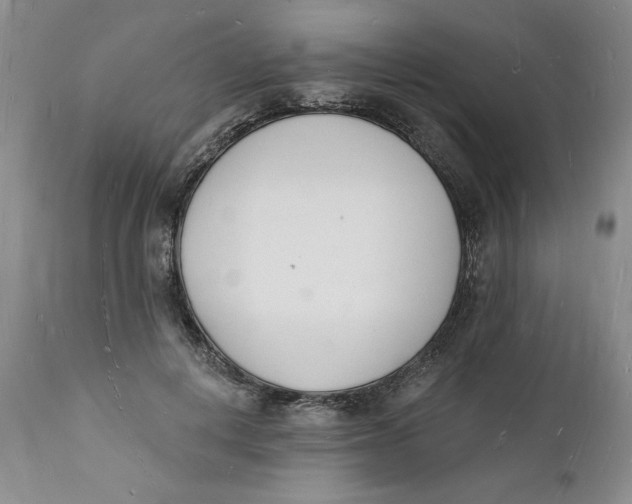 X0000112140648200908281318