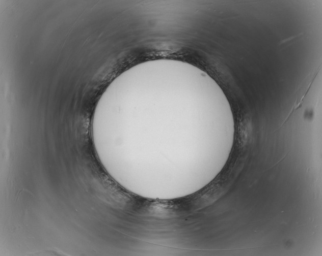 X0000112140657200908281318