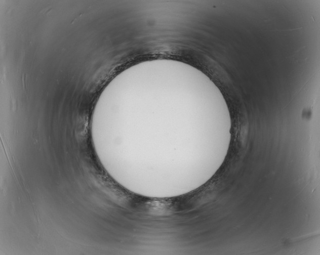 X0000112140660200908281318