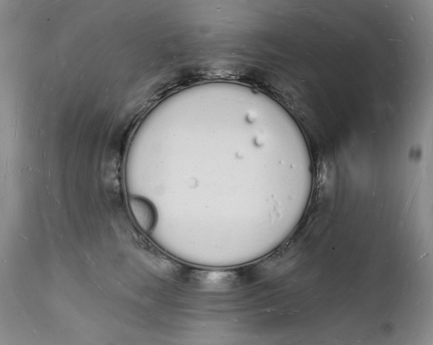 X0000112140663200908281318