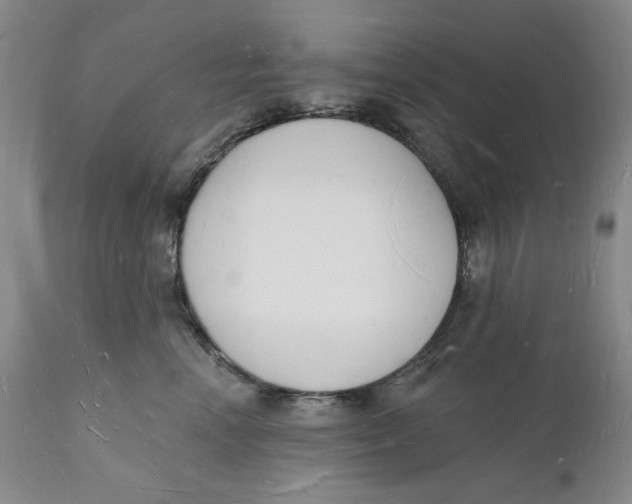 X0000112140666200908281318