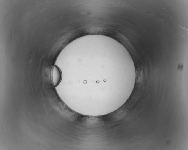 X0000112140669200908281318