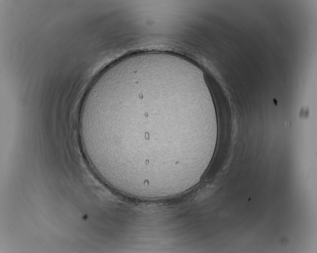 X0000112140673200908281317