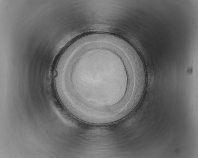 X0000112140674200908281317