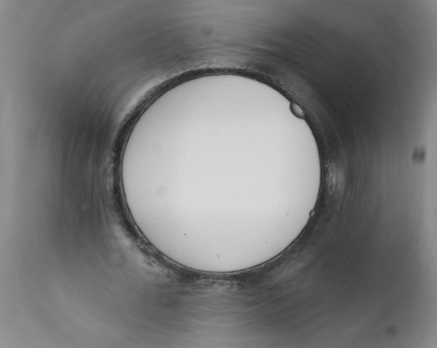 X0000112140676200908281317