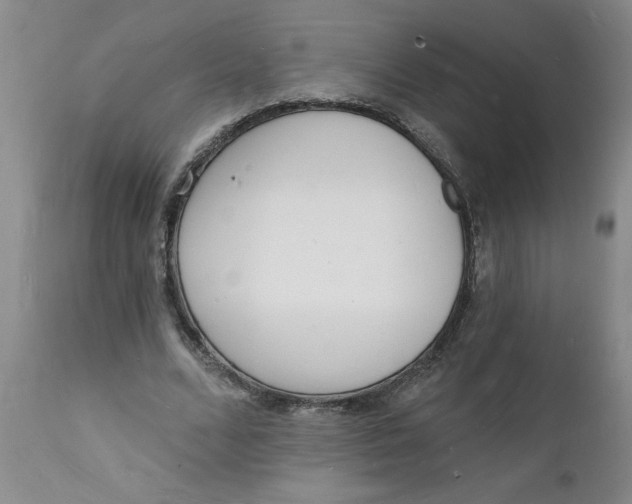 X0000112140680200908281317