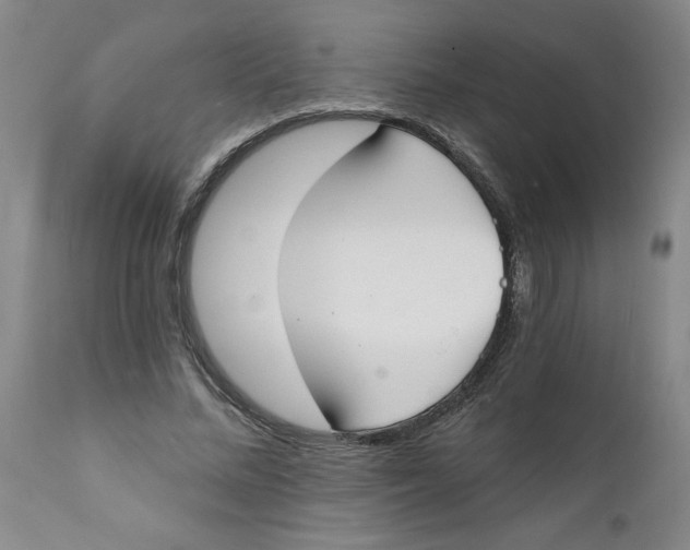 X0000112140684200908281317