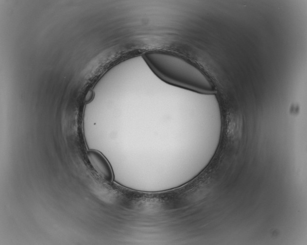 X0000112140685200908281317