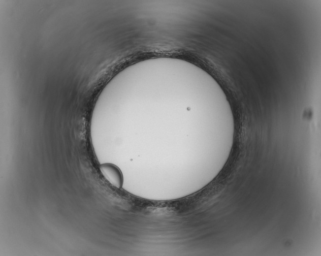 X0000112140689200908281317