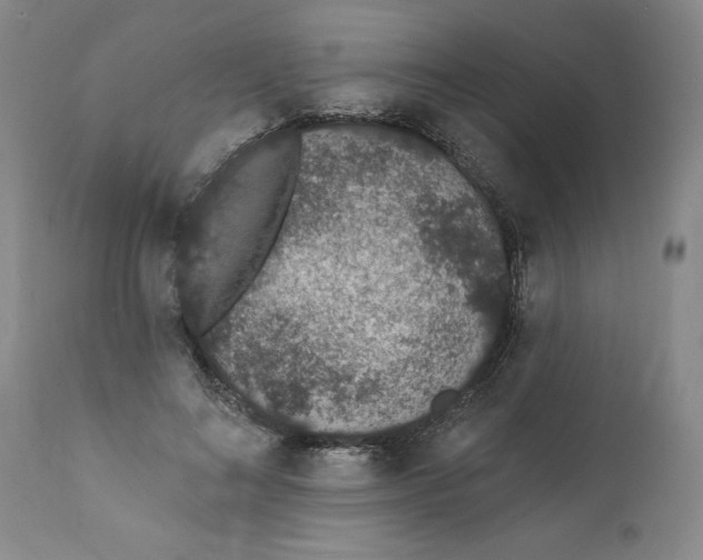 X0000112140692200908281317