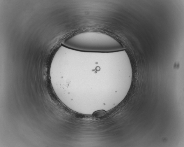 X0000112140693200908281317