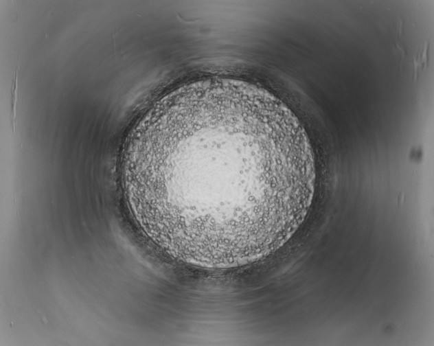 X0000112140696200908281317