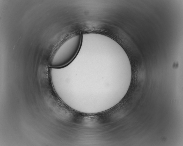 X0000112140700200908281317