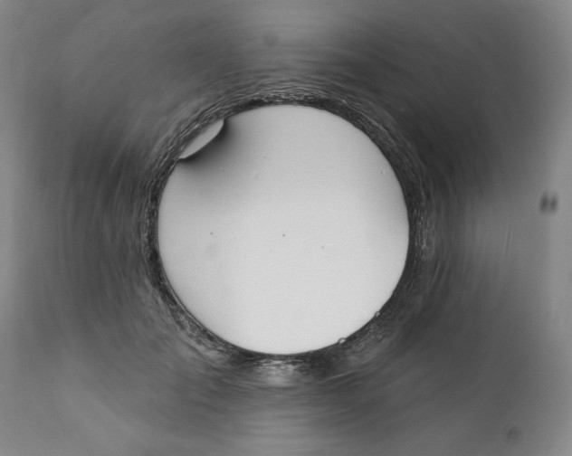 X0000112140701200908281317