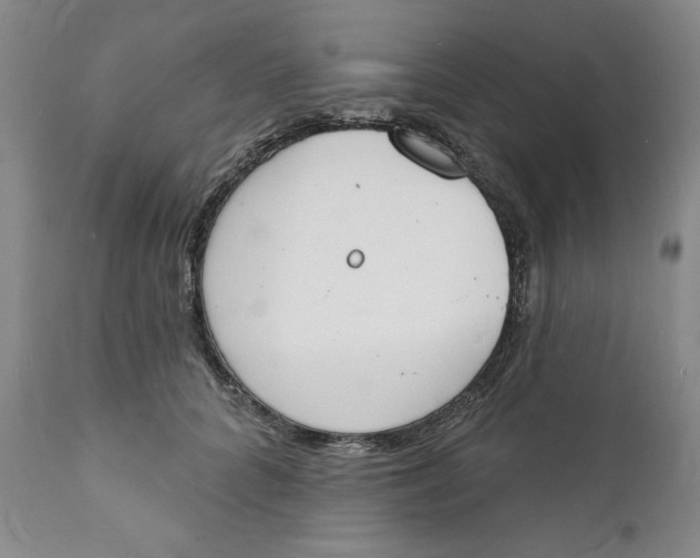 X0000112140704200908281317