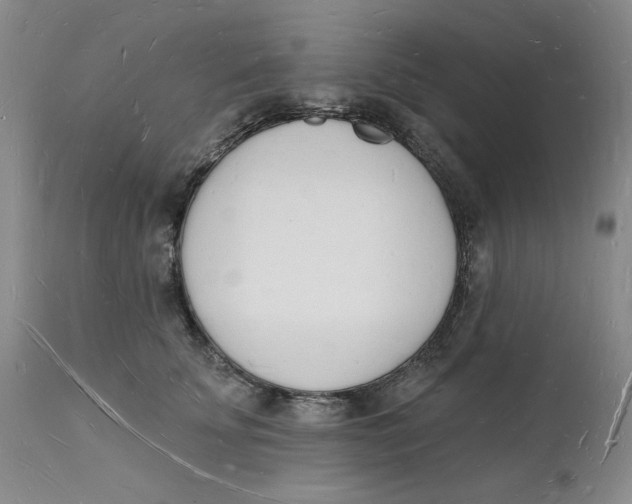 X0000112140707200908281317