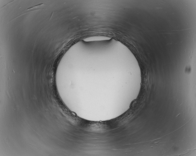 X0000112140708200908281317