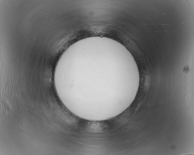 X0000112140710200908281317