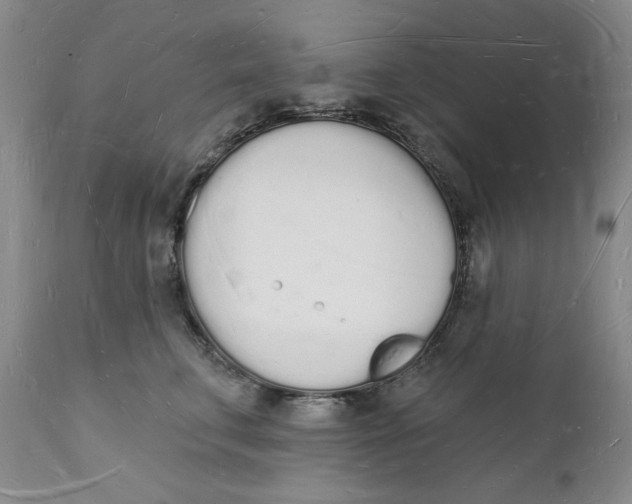 X0000112140711200908281317