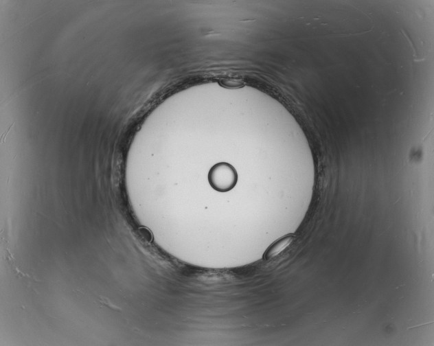 X0000112140712200908281317